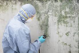 Best Biohazard Mold Removal in USA